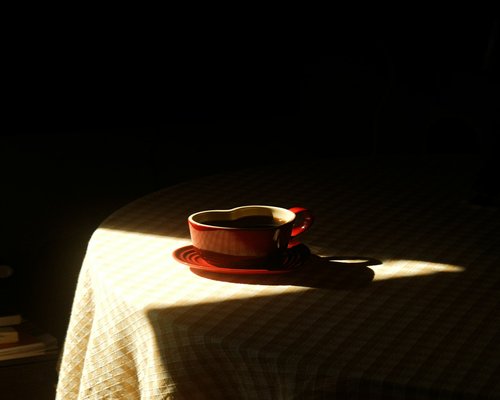 Peaceful morning routine with tea and sunlight