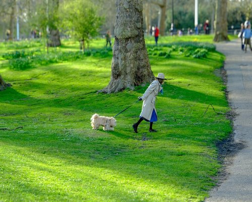 Woman enjoying a light walk and stretching in the park